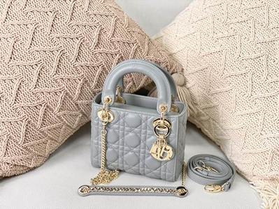 DIOR Handbags 404